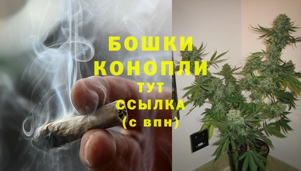 крисы Медвежьегорск