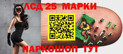 индика Гусев