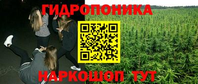 индика Гусев