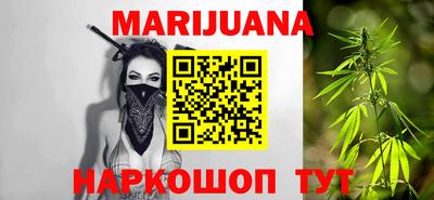 индика Гусев