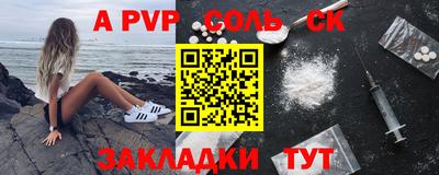индика Гусев