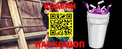 индика Гусев