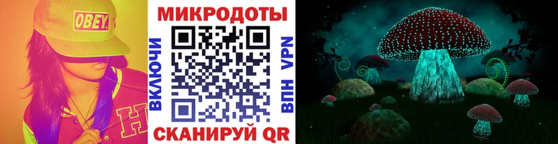 Псилоцибиновые грибы Cubensis  Нижнекамск 