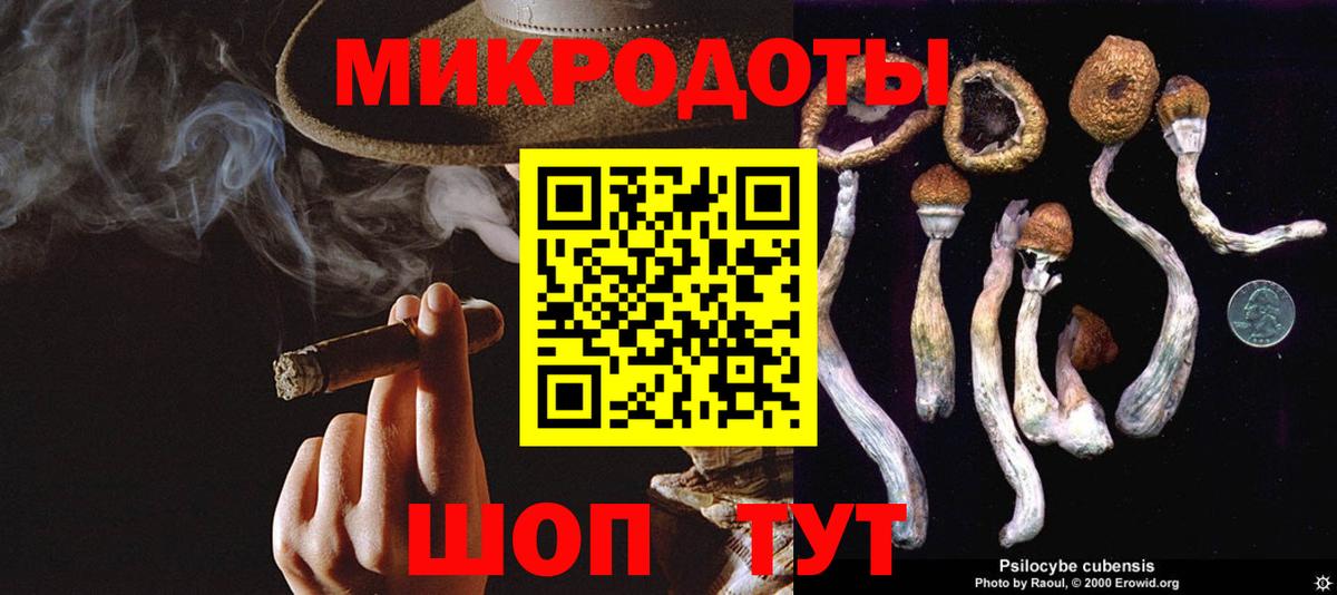 Псилоцибиновые грибы Psilocybe Нижнекамск